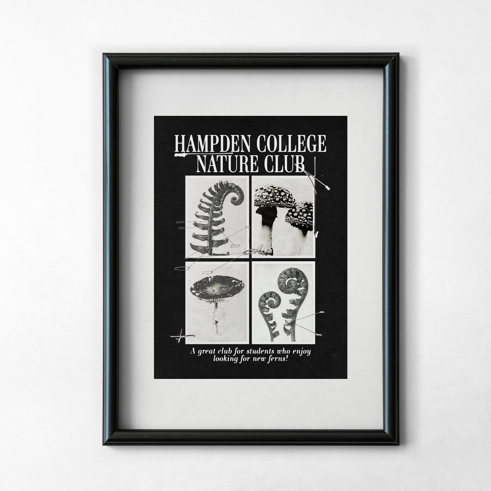 Hampden College Nature Club Art Print